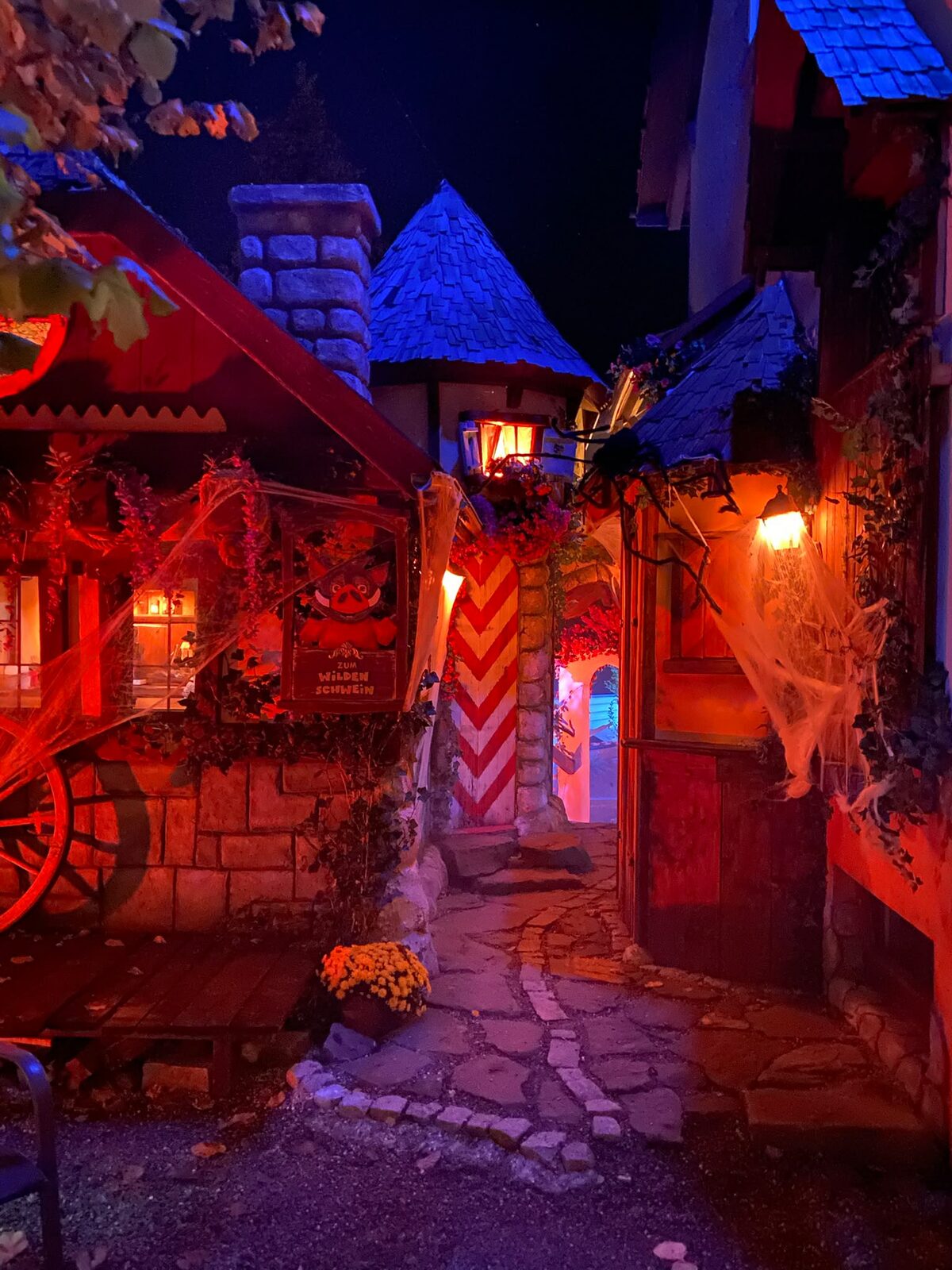 Halloween im Park – Gasse mit Spinnweben und Lichtern
